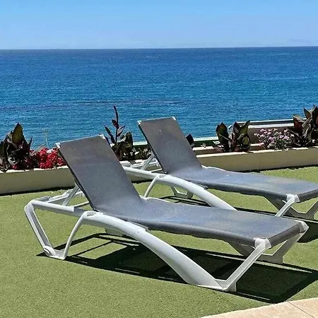 Xxiv Morales&arnal * エステポナ