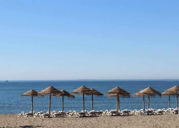 Xxiv Morales&arnal *